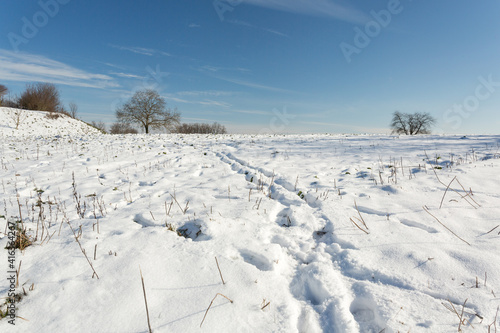 Campagne sous la neige