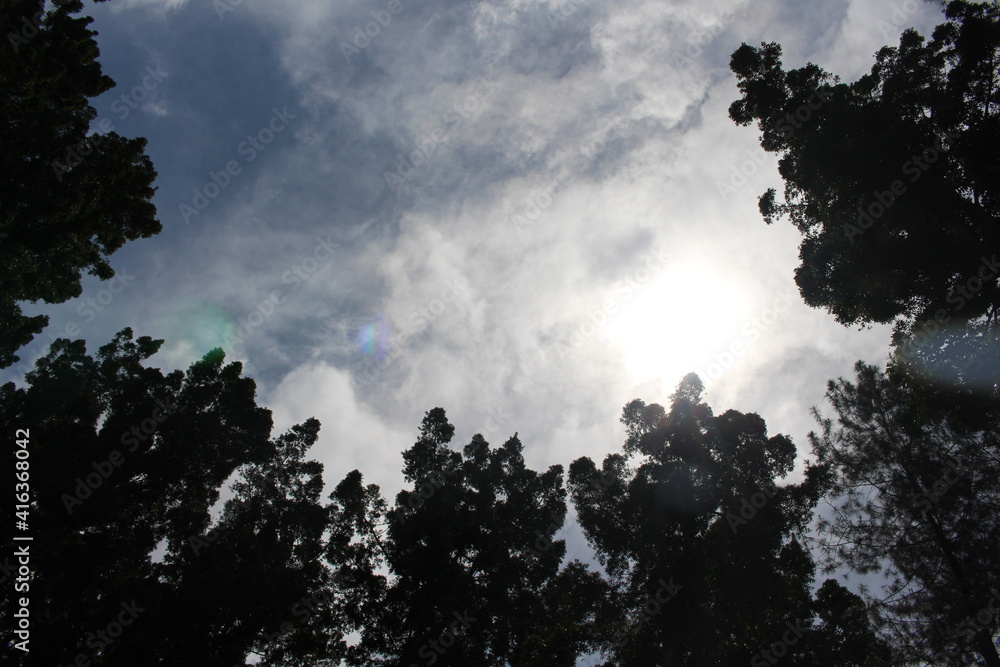 clouds in the sky clouds in the sky