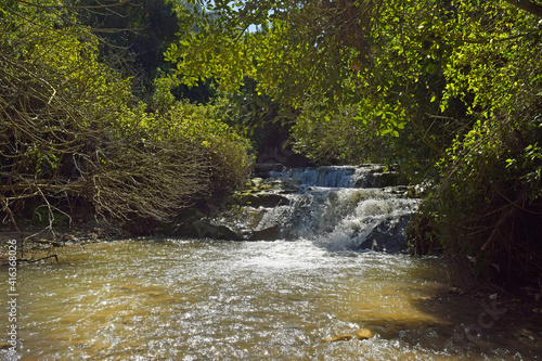 walk along the stream Nahal HaShofet - river flows through of HaZorea Forest, Ramat Menashe Biosphere Reserve, located near Mount Carmel, Israel photo