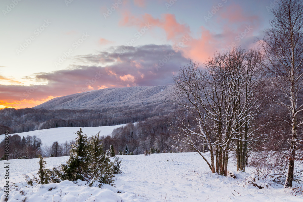 Colorful, winter sunrise in the Bieszczady Mountains, view of snow-covered trees, fields and meadows