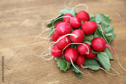 fresh radish bunch for salads