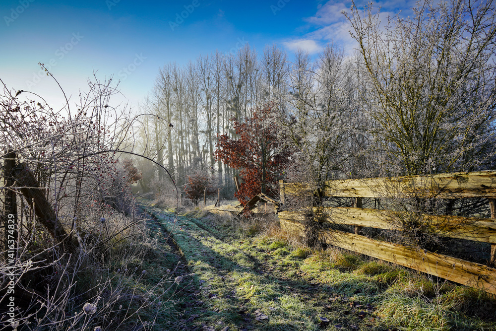 Fototapeta premium Paysage campagne 847