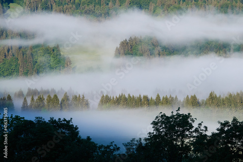 Nebelschwaden ziehen durchs Tal an einem kühlen Frühlingsmorgen