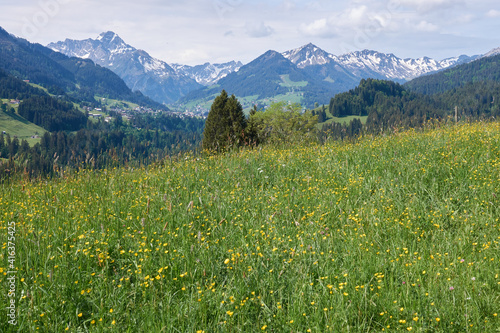 Bergsommer im Kleinwalsertal