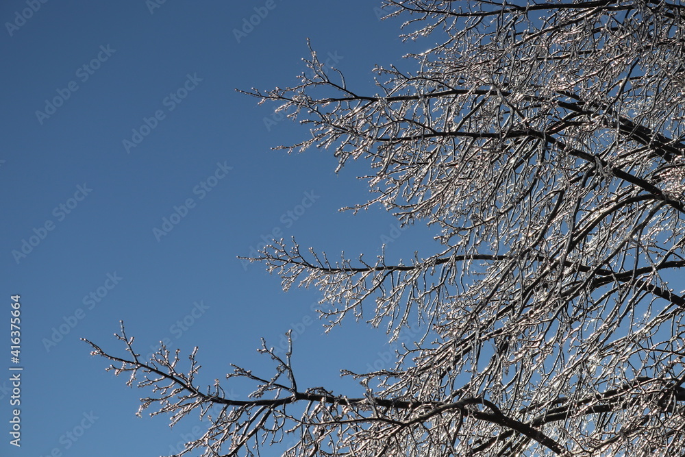 Ice Storm Ice Storm