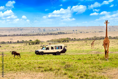 Fotografie Wild giraffe and wildebeest near safari car in Masai Mara National Park, Kenya