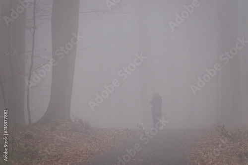 Frau beim Spaziergang mit dem Hund durch den Wald bei dichtem Nebel