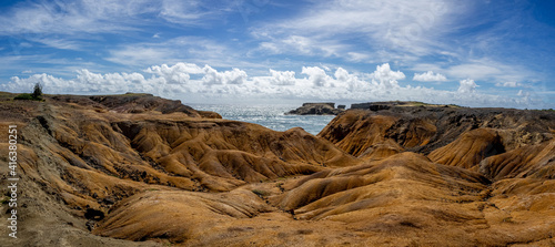 Savane des pétrifications Martinique