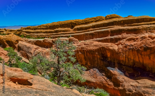 Eroded landscape, Arches National Park, Moab, Utah, US
