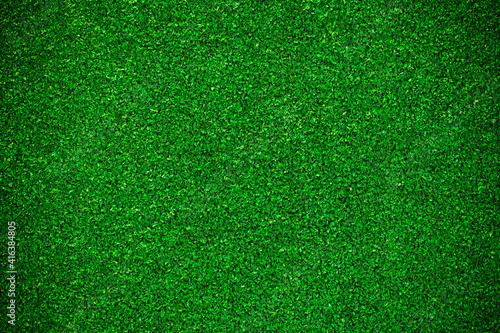 Green grass texture. Top view