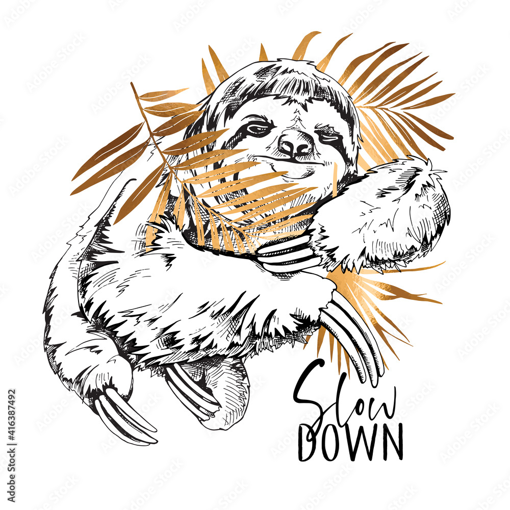 Fototapeta premium Cute smiling Sloth with a gold palm leaves. Slow down - lettering quote. Elegant poster, t-shirt composition, hand drawn style print. Vector illustration.