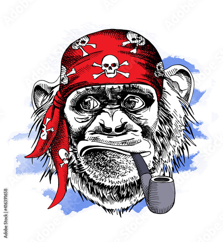 Monkey portrait in gray pirate hat and brown neckerchief with images of skulls. Vector illustration.