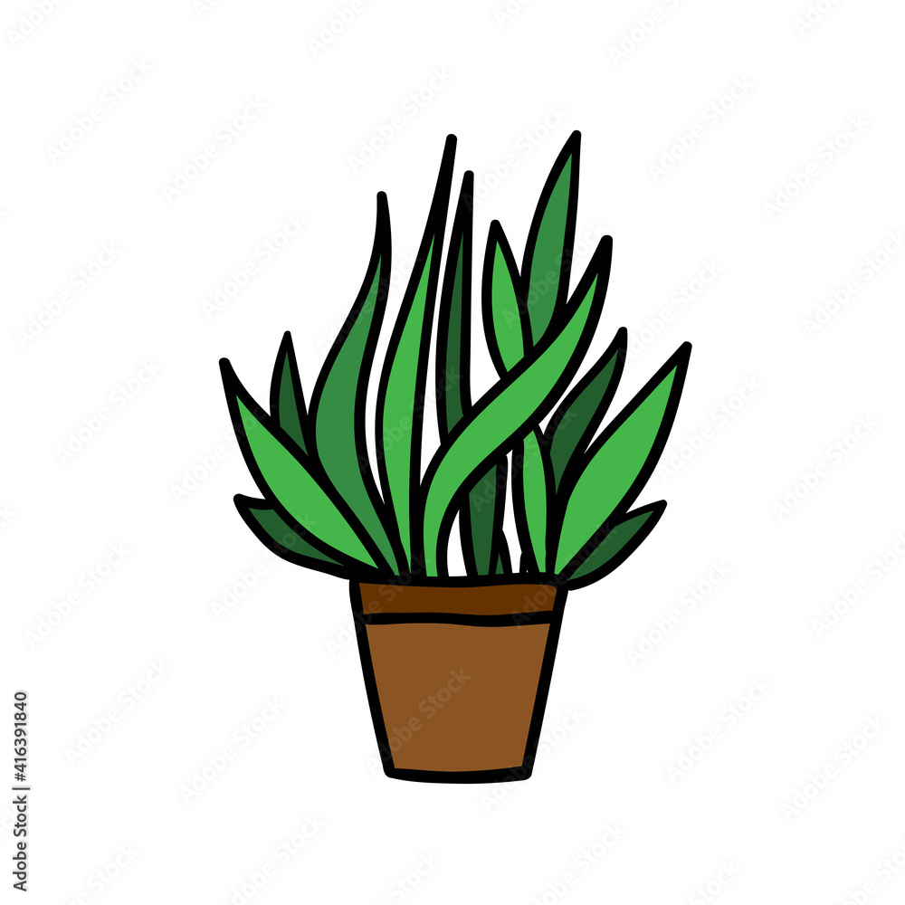 House plant in floral pot. Vector illustration. House plant in floral pot. Vector illustration.