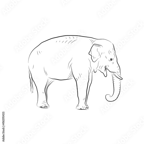 Sketch of growling elephant.Handmade. © yik2007