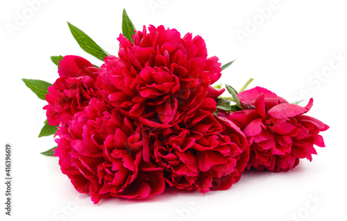 Bouquet of red peonies.