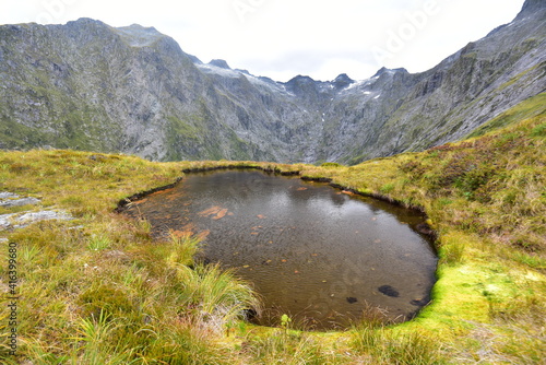 Milford track MacKinnon Pass, New Zealand photo