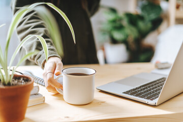 Distance learning online education and work. Business woman with coffee cup typing at laptop, sitting on the couch near the plants. Freelance girl woking from home office. Using computer and shopping.
