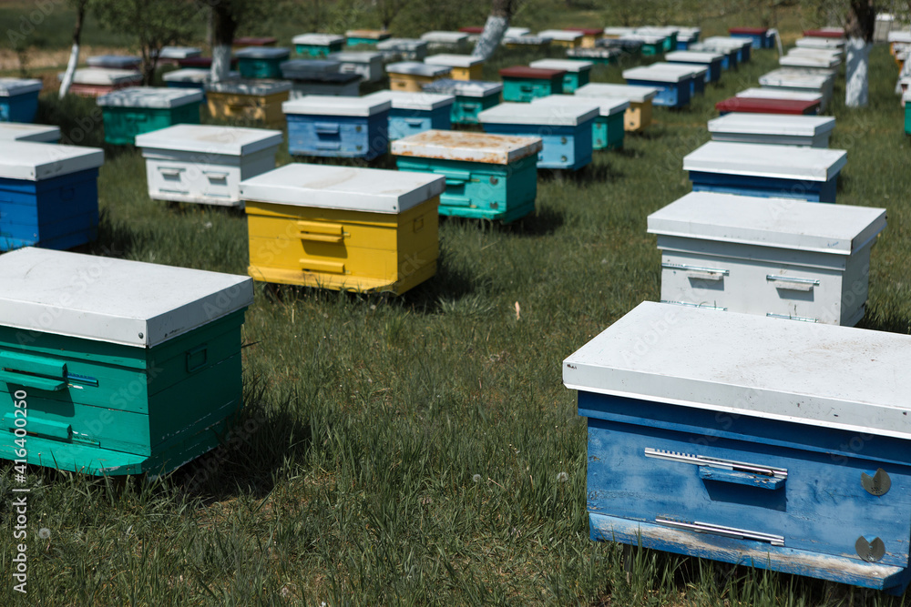 A row of bee hives in a private apiary in the garden. Honey industry. A row of bee hives in a private apiary in the garden. Honey industry.