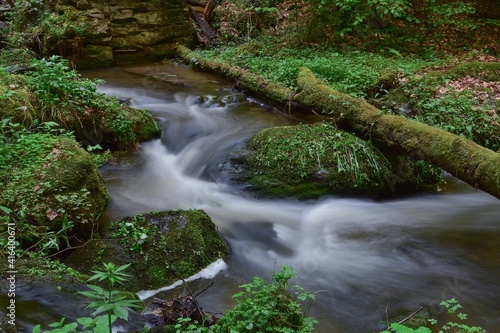 Forest river flow