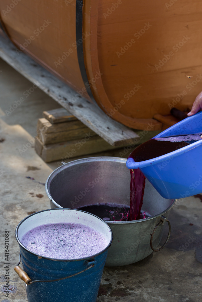 The winemaker pours grape juice for transportation into barrels. The winemaker pours grape juice for transportation into barrels.