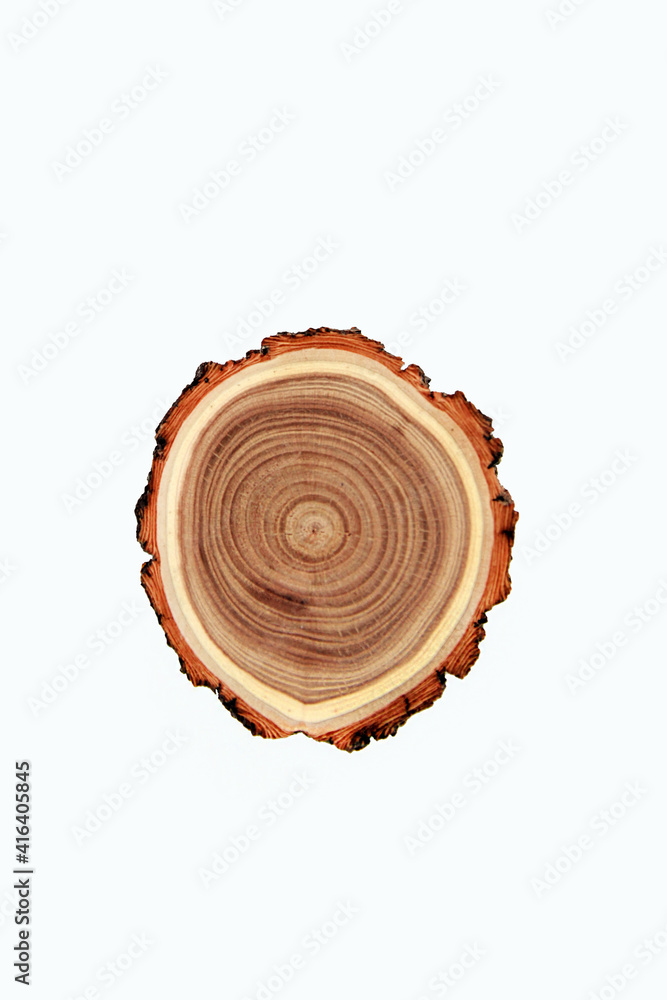 Cross-section of a cut tree trunk with a wavy pattern of annual rings . Cross-section of a cut tree trunk with a wavy pattern of annual rings .
