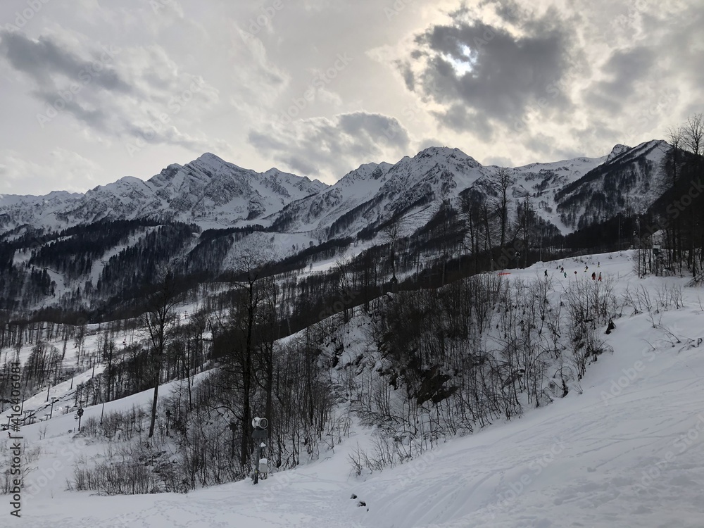 Fototapeta premium snow covered mountains