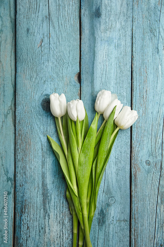 White flowers  fresh tulips on light blue wooden background