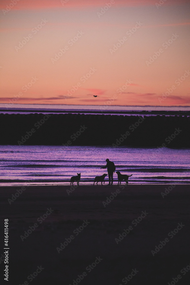 Fototapeta premium sunset on the beach