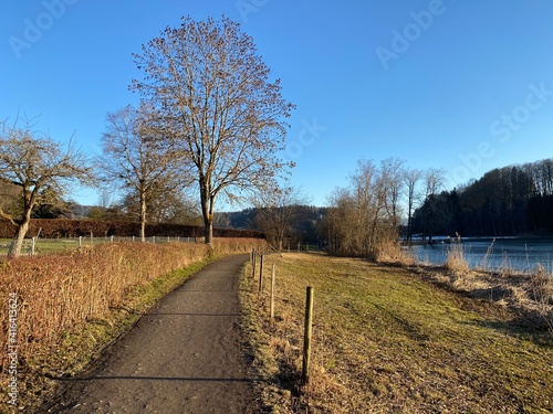 Recreational trails and promenades along Lake Türler or Türlersee lake (Tuerlersee oder Turlersee) during early spring, Aeugst am Albis - Canton of Zürich, Switzerland (Schweiz) photo