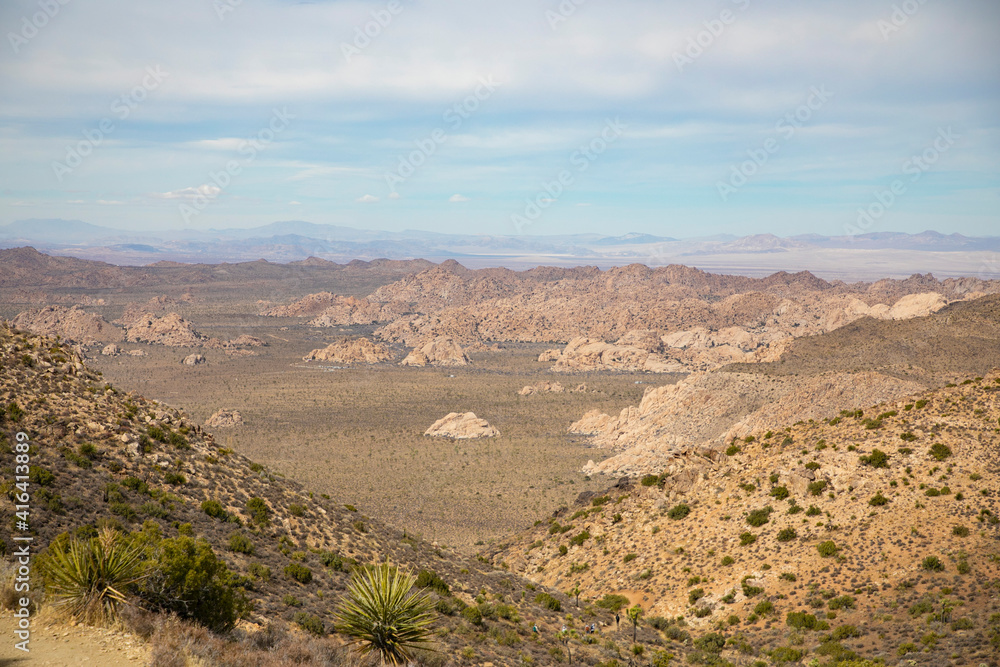 Fototapeta premium desert landscape