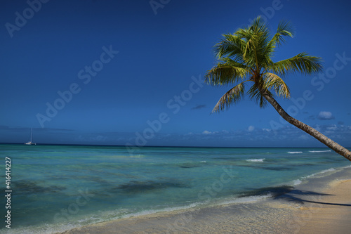 Fototapeta Naklejka Na Ścianę i Meble -  Palmeras en una playa en el Mar Caribe. Punta Cana. Isla saona
