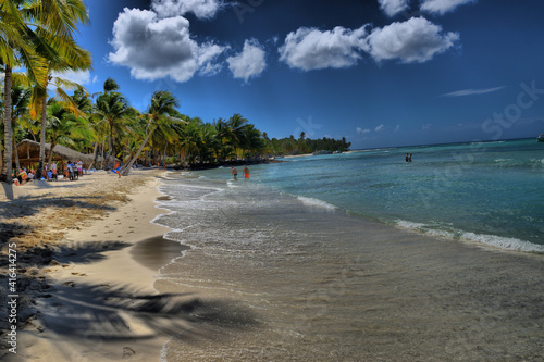 Palmeras en una playa en el Mar Caribe. Punta Cana. Isla saona 