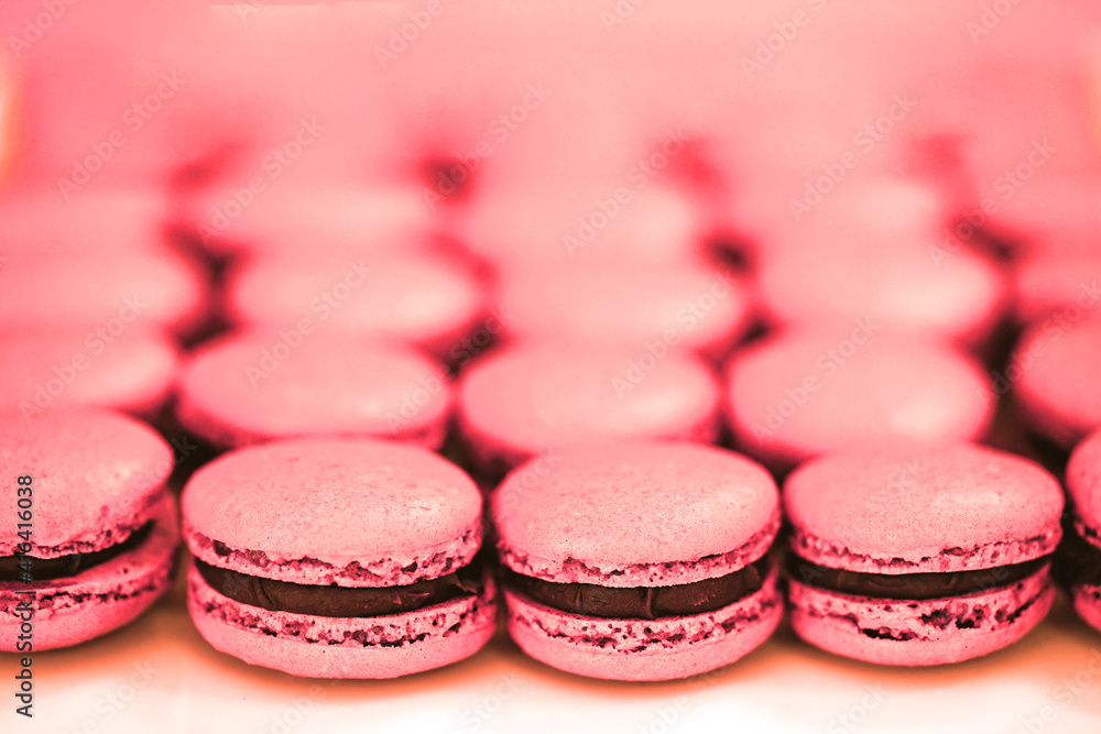 Fototapeta premium Colorful homemade macaron cookies filled with ganache cream
