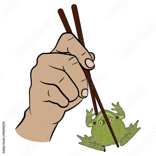 Two human hands holding green frog or toad with chopsticks. Funny concept for exotic food.