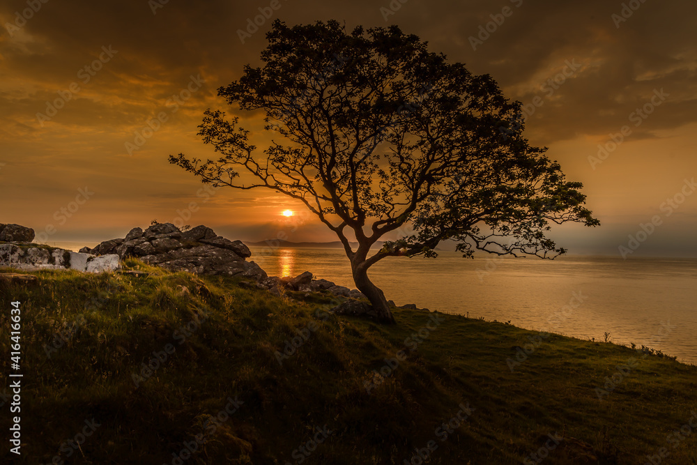 Lone tree silhouete at Sunrise in Murlough Bay, Glens of Antrim, causeway coast and glens, Ballycastle, Northern Ireland, looking over towards the Mull of Kintyre
