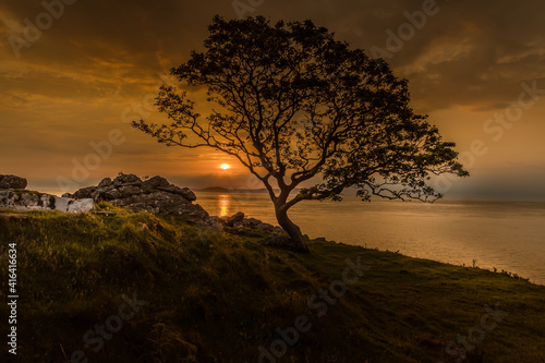 Lone tree silhouete at Sunrise in Murlough Bay, Glens of Antrim, causeway coast and glens, Ballycastle, Northern Ireland, looking over towards the Mull of Kintyre