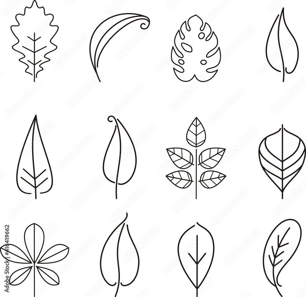leaf line icon set, Leaf Icons Set on White Background. illustration. leaf line icon set, Leaf Icons Set on White Background. illustration.