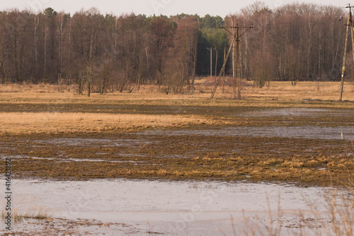 Wiosenne roztopy, rozlewiska na łące.