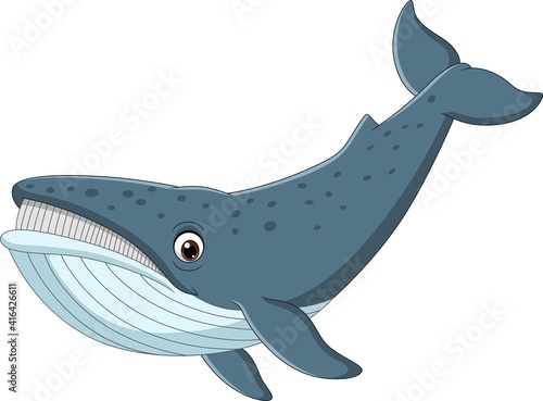 Cartoon whale isolated on white background