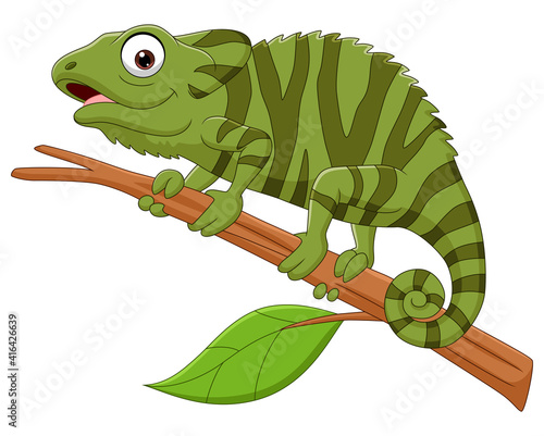 Cartoon green chameleon on tree branch