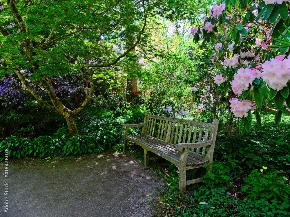 Springtime blooms with walkways and benches in public Finnerty Gardens in Victoria BC