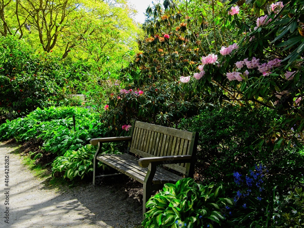 Springtime blooms with walkways and benches in public Finnerty Gardens in Victoria BC