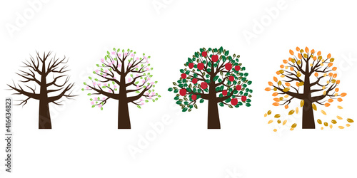 Tree different seasons  great design for any purposes. Nature illustration. Realistic vector. Stock image. EPS 10.