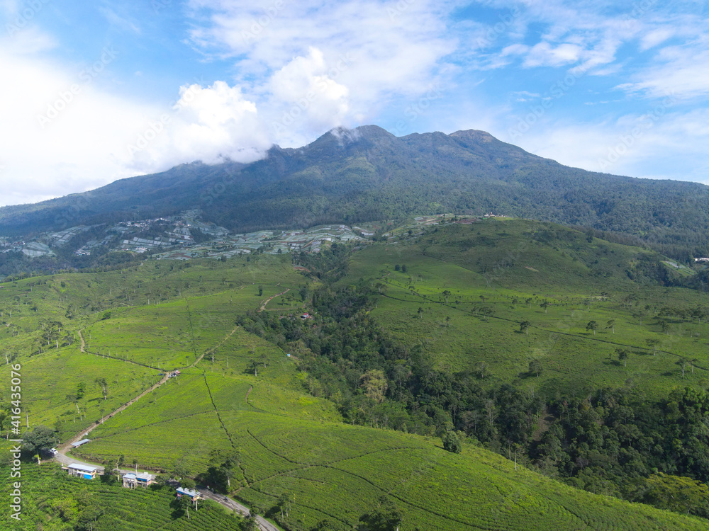 Aerial view of tea plantation in Kemuning, Indonesia with Lawu mountain background