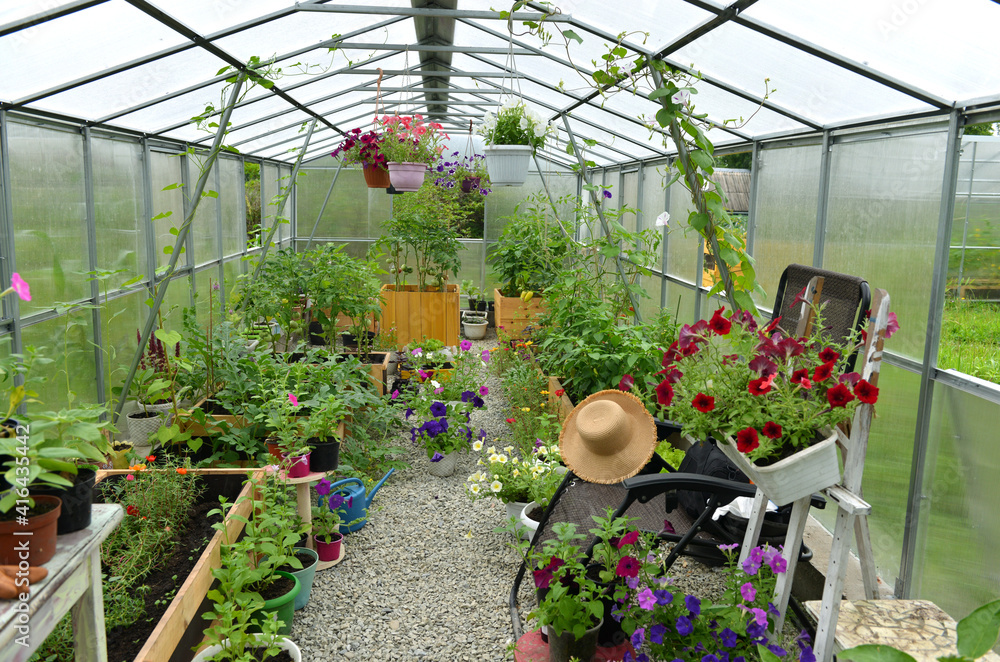 Greenhouse with plants, vegetables and flowers.