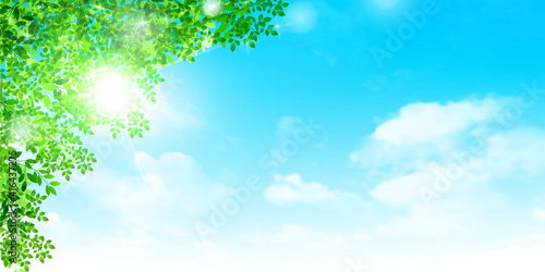 新緑　葉　春　背景
