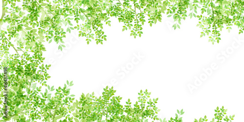 新緑　葉　春　背景
