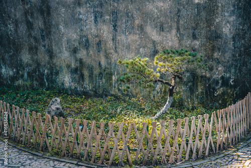 Detail view of the architectures and landscape in a traditional Chinese garden in Suzhou, China. photo