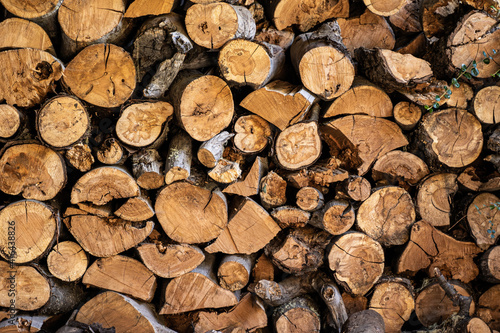 Big pile of firewood wood brushwood natural background