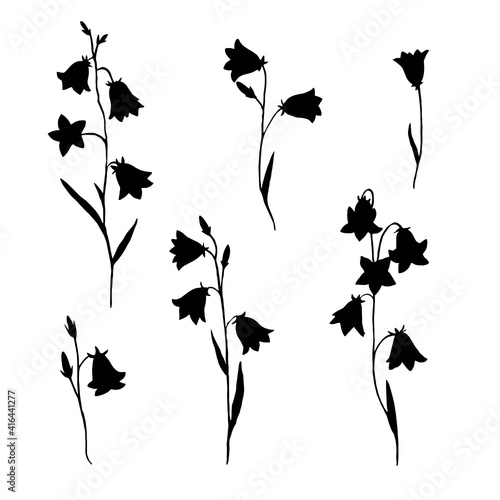 Set with black silhouettes of meadow bellflowers isolated on white background.